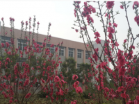 揭陽捷和職業(yè)技術(shù)學(xué)校2020年招生簡章