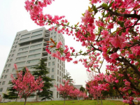 常州旅游商貿(mào)高等職業(yè)技術(shù)學(xué)校2020年招生計(jì)劃