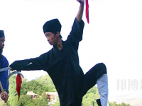 平?jīng)鲠轻嘉奈鋵W(xué)校2020年招生錄取分?jǐn)?shù)線