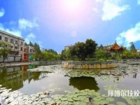 紅河州民族師范學(xué)校學(xué)校2020年報(bào)名條件、招生要求、招生對象