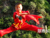 平?jīng)鲠轻嘉奈鋵W(xué)校2020年學(xué)費(fèi)、收費(fèi)多少