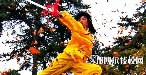 平?jīng)鲠轻嘉奈鋵W(xué)校2020年報(bào)名條件、招生要求、招生對(duì)象