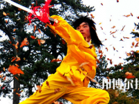 平?jīng)鲠轻嘉奈鋵W(xué)校2020年報(bào)名條件、招生要求、招生對(duì)象