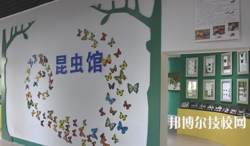 廣西欽州農(nóng)業(yè)學(xué)校網(wǎng)站網(wǎng)址