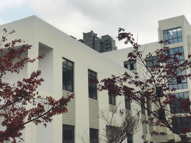 江蘇建湖中等專業(yè)學(xué)校2020年有哪些專業(yè)