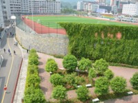 習(xí)水中等職業(yè)技術(shù)學(xué)校2020年招生錄取分?jǐn)?shù)線