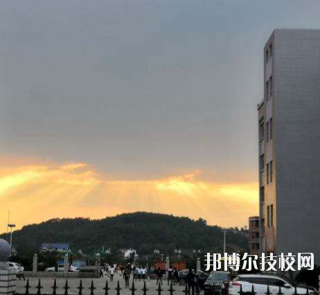 QQ截圖20191113134832