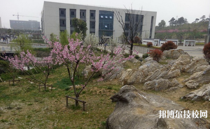 鎮(zhèn)江技師學(xué)院2020年報(bào)名條件、招生要求、招生對象