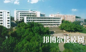 QQ截圖20191114085430