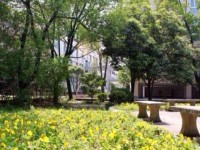 蘭溪職業(yè)中等專業(yè)學校2020年招生錄取分數(shù)線