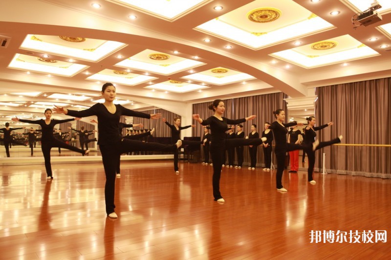滄州職業(yè)技術(shù)學(xué)院2020年報(bào)名條件、招生要求、招生對(duì)象