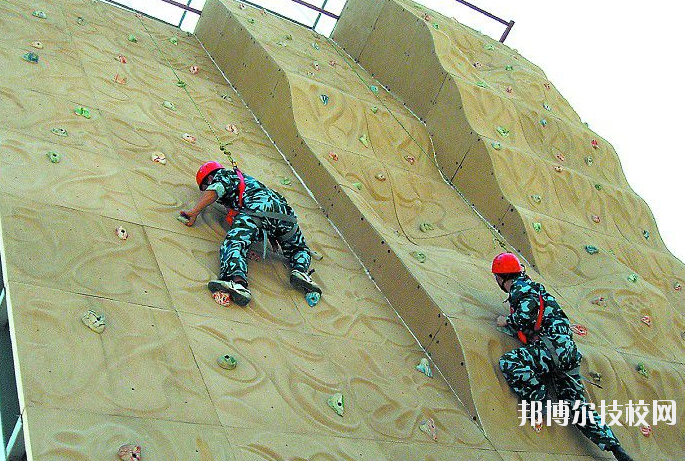 QQ截圖20191114131054
