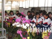 臨夏農(nóng)業(yè)學(xué)校2020年招生錄取分?jǐn)?shù)線