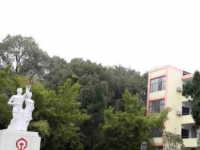 東安縣金橋中等職業(yè)學(xué)校2023年學(xué)費、收費多少