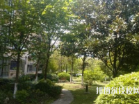 東安縣金橋中等職業(yè)學(xué)校2023年招生專業(yè)