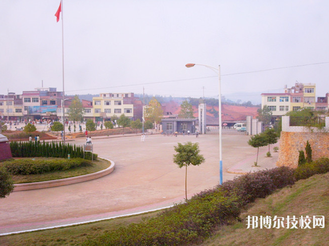 QQ截圖20191115130644
