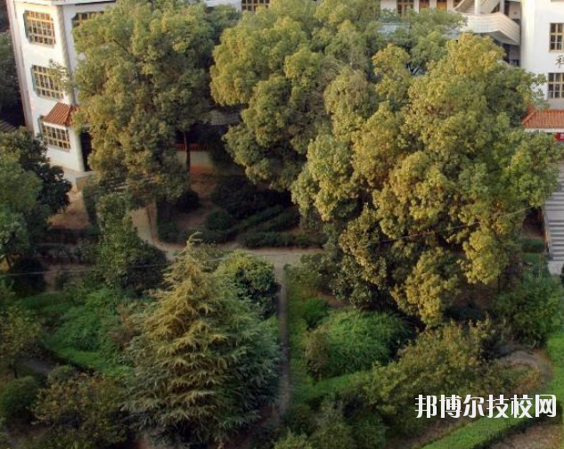 衡山縣科技中等專業(yè)學(xué)校2023年招生專業(yè)