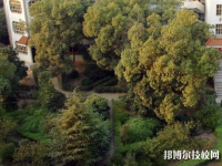 衡山縣科技中等專業(yè)學(xué)校2023年有哪些專業(yè)