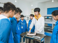 金華九峰職業(yè)技術(shù)學(xué)校2021年有哪些專業(yè)