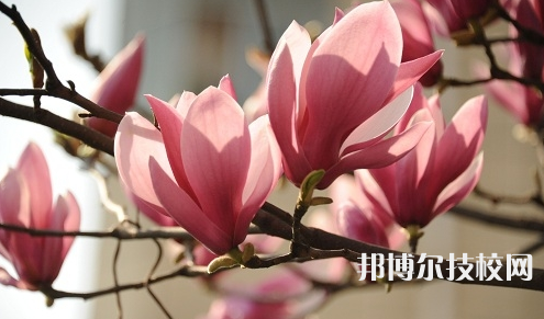 貴州廣播電影電視學(xué)校怎么樣、好不好