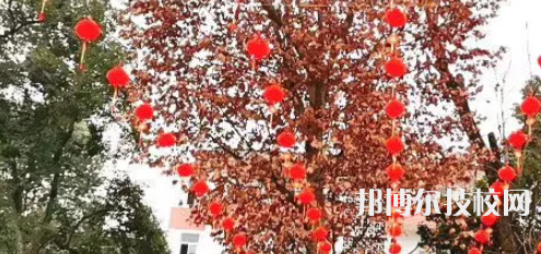 簡陽育英文武職業(yè)技術(shù)學(xué)校2021年招生錄取分?jǐn)?shù)線