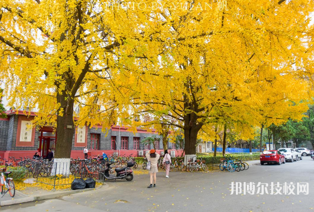 渭南技工學(xué)校地址在哪里