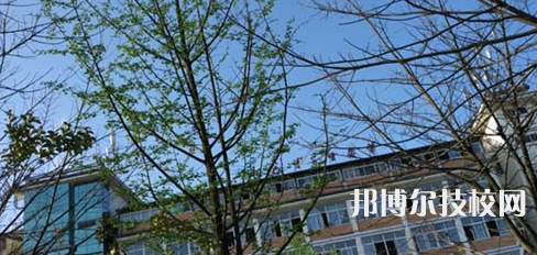 四川現(xiàn)代藝術(shù)學校2021年有哪些專業(yè)