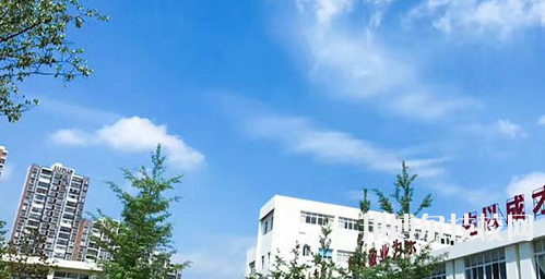 成都新運職業(yè)學校網(wǎng)站網(wǎng)址