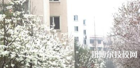 成都市中山職業(yè)技術(shù)學(xué)校2021年招生辦聯(lián)系電話