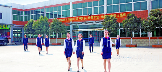 成都東星航空職業(yè)學(xué)校2021年招生簡章