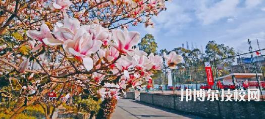 成都現(xiàn)代職業(yè)技術(shù)學(xué)校怎么樣、好不好