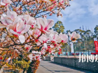成都現(xiàn)代職業(yè)技術(shù)學(xué)校2023年怎么樣、好不好