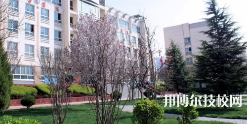 禮縣職業(yè)中等專業(yè)學校2021年有哪些專業(yè)