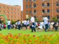 成都五月花技師學院2023年招生計劃