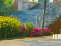 成都五月花技師學院2023年有哪些專業(yè)
