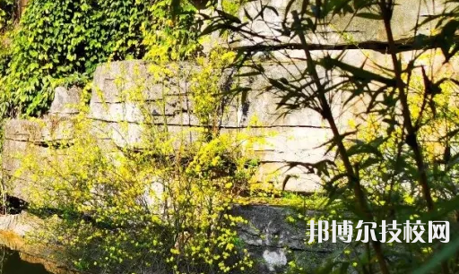 遵義職業(yè)技術(shù)學(xué)校網(wǎng)站網(wǎng)址 