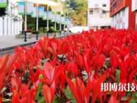 遵義職業(yè)技術(shù)學校2023年怎么樣、好不好
