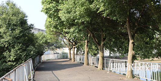四川蜀都衛(wèi)生學(xué)校地址在哪里