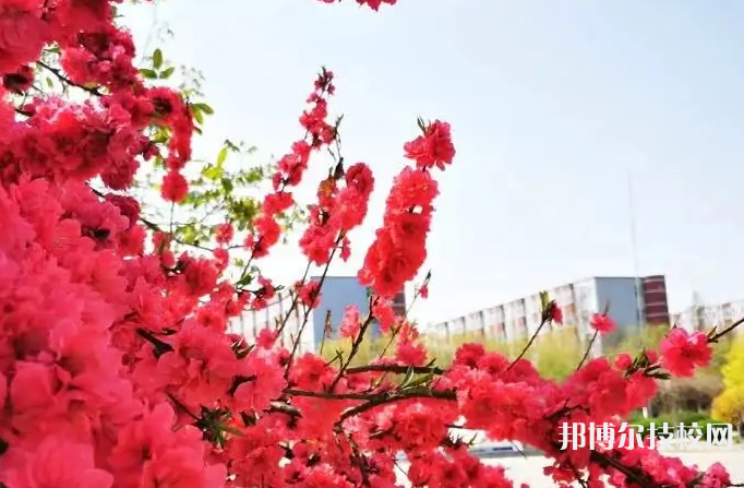 河北女子職業(yè)技術(shù)學(xué)院2021年招生錄取分?jǐn)?shù)線