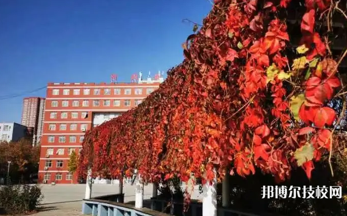 河北女子職業(yè)技術(shù)學(xué)院網(wǎng)站網(wǎng)址
