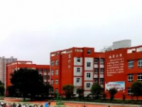 綏陽中等職業(yè)學校2023年有哪些專業(yè)