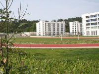 石泉縣職業(yè)教育中心2021年招生錄取分數(shù)線