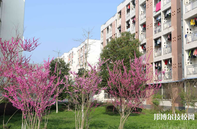 QQ截圖20210421142403