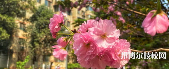 成都成醫(yī)一附院護(hù)士學(xué)校怎么樣、好不好