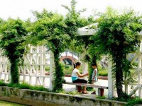 陜西國(guó)防工業(yè)技師學(xué)院2023年招生錄取分?jǐn)?shù)線