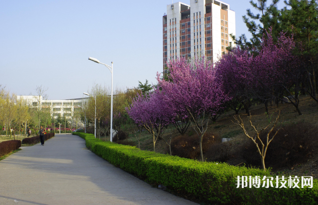城固職業(yè)技術(shù)教育中心2021年招生辦聯(lián)系電話