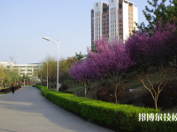 城固職業(yè)技術(shù)教育中心2021年招生辦聯(lián)系電話