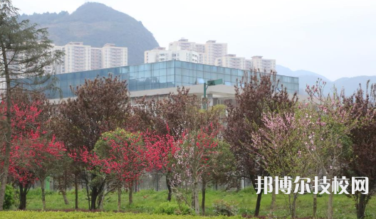 六盤(pán)水鐘山區(qū)職業(yè)技術(shù)學(xué)校網(wǎng)站網(wǎng)址     