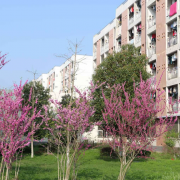 淮南市白天鵝藝術(shù)職業(yè)中專(zhuān)學(xué)校