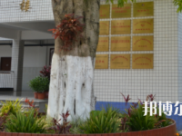 四川理工技師學(xué)院2023年有哪些專業(yè)